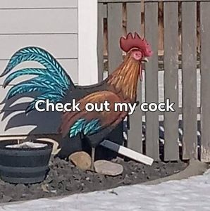 Meet your Posher, Gilbert